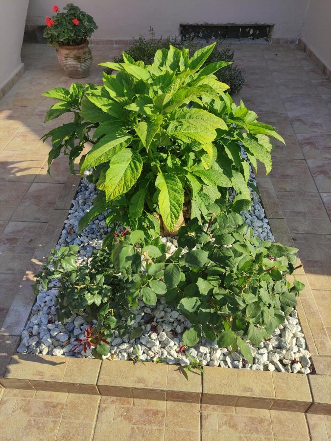 # 6 Giorgos & Chara Apartments Nea Kydonia エクステリア 写真